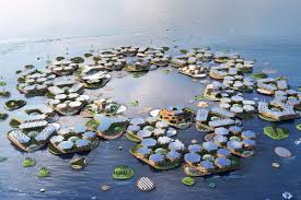 Ocean Bio-City Kota Terapung yang Dibangun dari Terumbu Karang Rekayasa Genetik